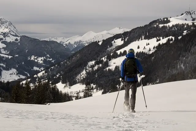A person snowshoeing up a daunting path.